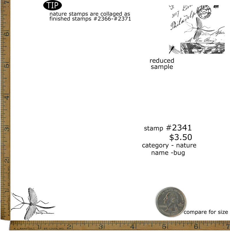 #2341 - Bug - Nature